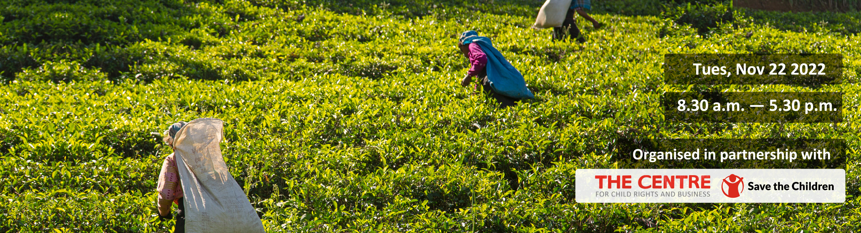 Nov 22 | ‘Towards a Family-Friendly Tea Industry’ Conference